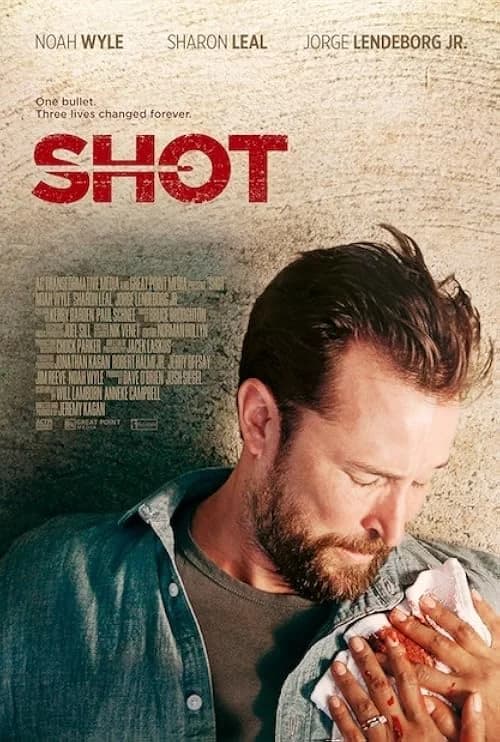 Shot film posteri